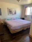 Aloha Beach Club Resort
