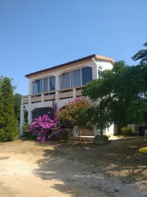 Apartments Topić Hotels in Vir