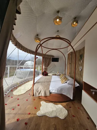 SKY DOME Отели в г. Somcuta Mare