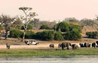 Sedudu Mobile Camp Hotels in Chobe