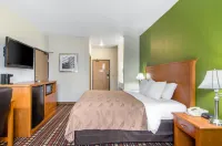 퀄리티 인 키니 - 리버티