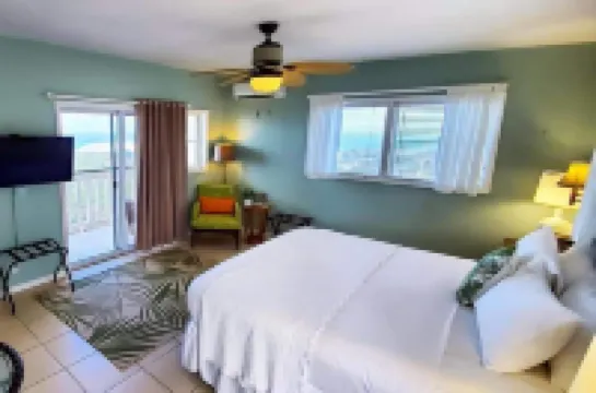 아일랜드 뷰 게스트하우스