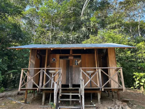 카바냐스 에코로그icas 무우