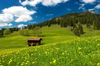 Hotel Bavaria - Partnerbetrieb Von Oberstaufen Plus