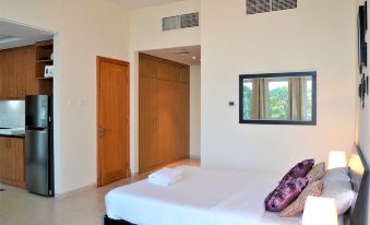 Mcln - Spacious Furnished Studio