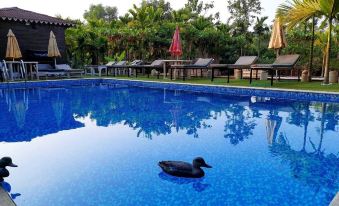 Go Green Spice Eco Resort