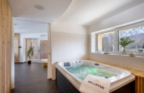 Ski & Spa Hotel Bellevue Hotels in Harrachov