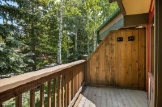 Breathtaking Mountain Views and Cozy Fireplace - Exquisite Modern Retreat