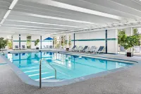 Four Points by Sheraton London - Pool