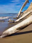 Soul & Sea #5 ~ Charming Boutique East Beach Guesthouse