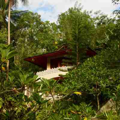 Tangkoko Sanctuary Villa & Spa Hotel Exterior