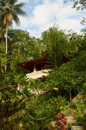 Tangkoko Sanctuary Villa & Spa Отели в г. Битунг