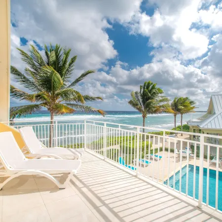 Ocean Paradise