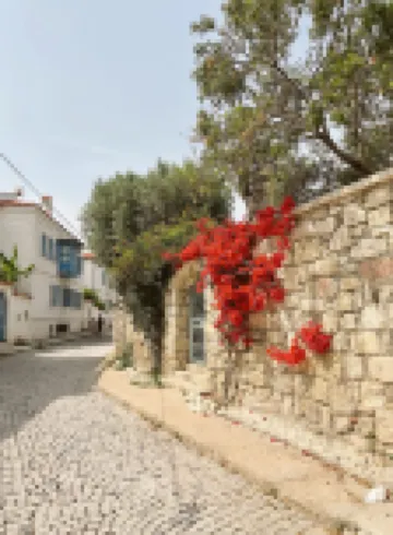 Temucin Hotel