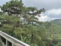 โรงแรมบูติค ลี บากิโอ - วิว