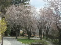 Residence Villa Linda Hotels in Bardonecchia