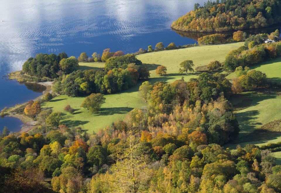 보로데일 게이트 호텔 조식