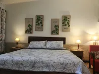 Hotel la Palapa