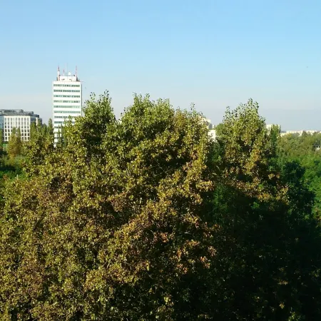 1 Bedroom Francuska Park Apartment