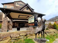 Stonebrook Lodge Hotels in Swain County