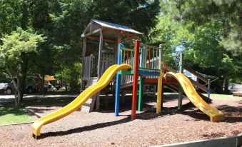 Big4 Tasman Holiday Parks - Bright