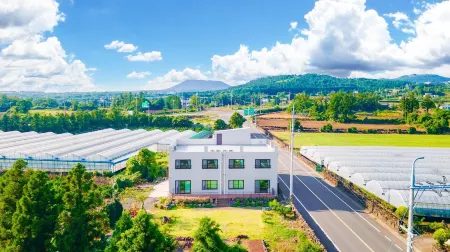 Jeju ChunJaNe Pension Отели рядом с достопримечательностью «Bonte Museum»