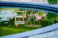Honeysuckle Barn & Garden