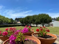Herdade Moita Mar - Country & Sea Hotels in São Luís