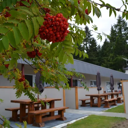Amber Court Motel