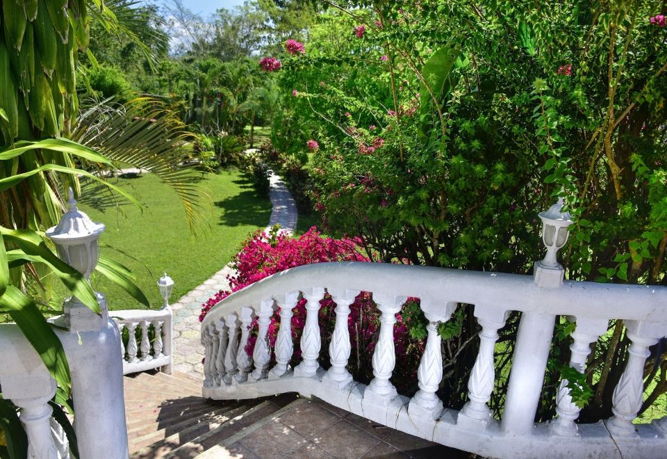 [바나나 뱅크 로지에서 말을 타고 정글을 탐험하는 모습 이미지]