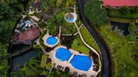 Hotel Los Lagos Spa & Resort - Pools