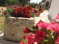 Masseria Gianca Hotels in Cisternino