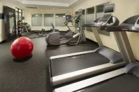 Hampton Inn & Suites San Antonio Northwest/Medical Center - Træningscentre