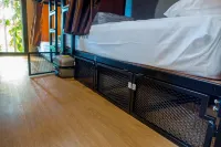 Comfy Bed Hostel