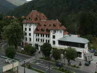 Hotel Rina Cerbul Hotels near Peles Castle