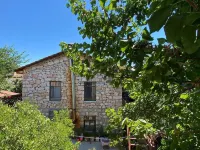 Likya Pansiyon Hotels in Demre