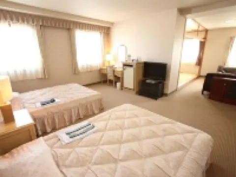 野上總統酒店 飯冢市酒店