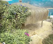 Club Hotel Barbarossa