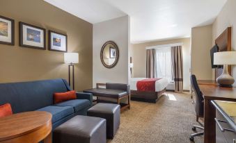 Comfort Suites Old Town Spring
