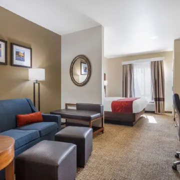 Comfort Suites Old Town Spring