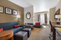 Comfort Suites Old Town Spring Các khách sạn ở Spring