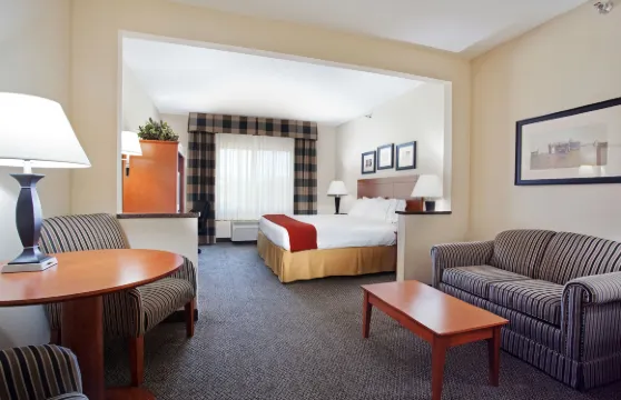 弗納爾洲際智選假日套房酒店 - 恐龍之地