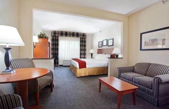 弗納爾洲際智選假日套房酒店 - 恐龍之地