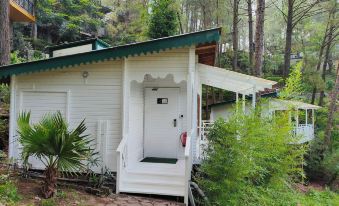 Kasauli Hills Resort