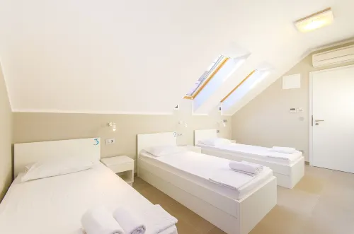 Hostel Dvor