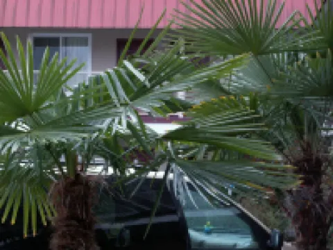 尤金快捷旅館&套房酒店