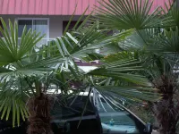 Express Inn & Suites Eugene