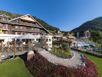 Fleur de Neige Châtel Hotel di Chatel
