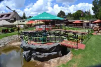 Falls Hippo Point Hotel - Bares