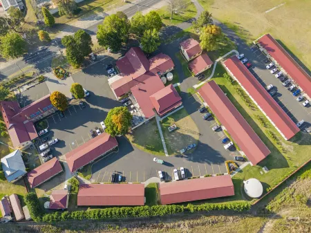 Black Gold Motel Отели в г. Литго